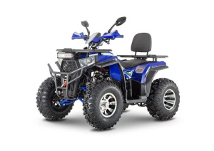 Квадроцикл WELS Thunder Trail 200 PRO