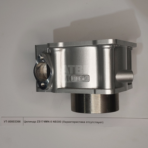 Цилиндр ZS174MN-5 NB300 Цилиндр ZS174MN-5 NB300