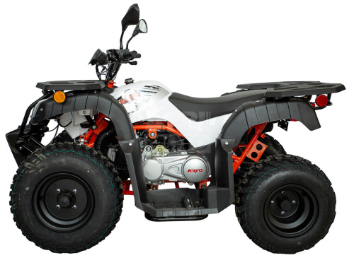 Квадрицикл KAYO AU150 CVT (белый пластик 2024 г.) (ПТС) Квадрицикл KAYO AU150 CVT (белый пластик 2024 г.) (ПТС)