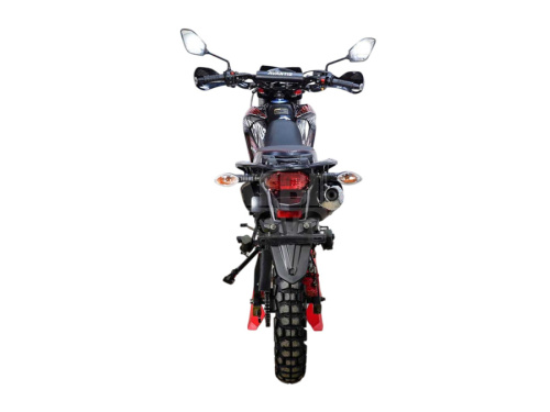 Мотоцикл Avantis MT250 (PR250/172FMM) ПТС (2024) Мотоцикл Avantis MT250 (PR250/172FMM) ПТС (2024)