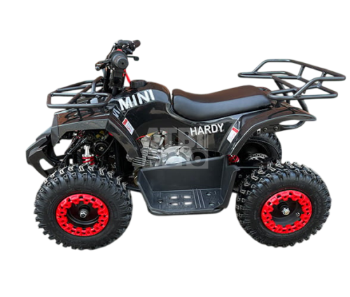 Детский квадроцикл MOWGLI Mini Hardy 4T Детский квадроцикл MOWGLI Mini Hardy 4T