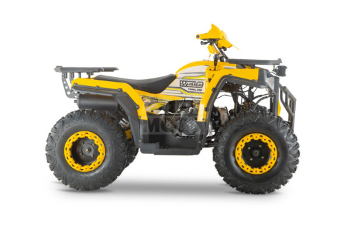 Квадроцикл WELS Thunder Trail 200 Квадроцикл WELS Thunder Trail 200