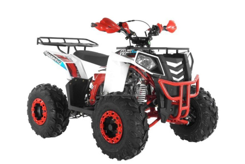 Квадроцикл WELS Thunder Evo 125 (2025) Квадроцикл WELS Thunder Evo 125 (2025)